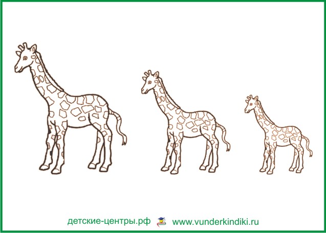 листочки с высоким, средним и низким жирафами
